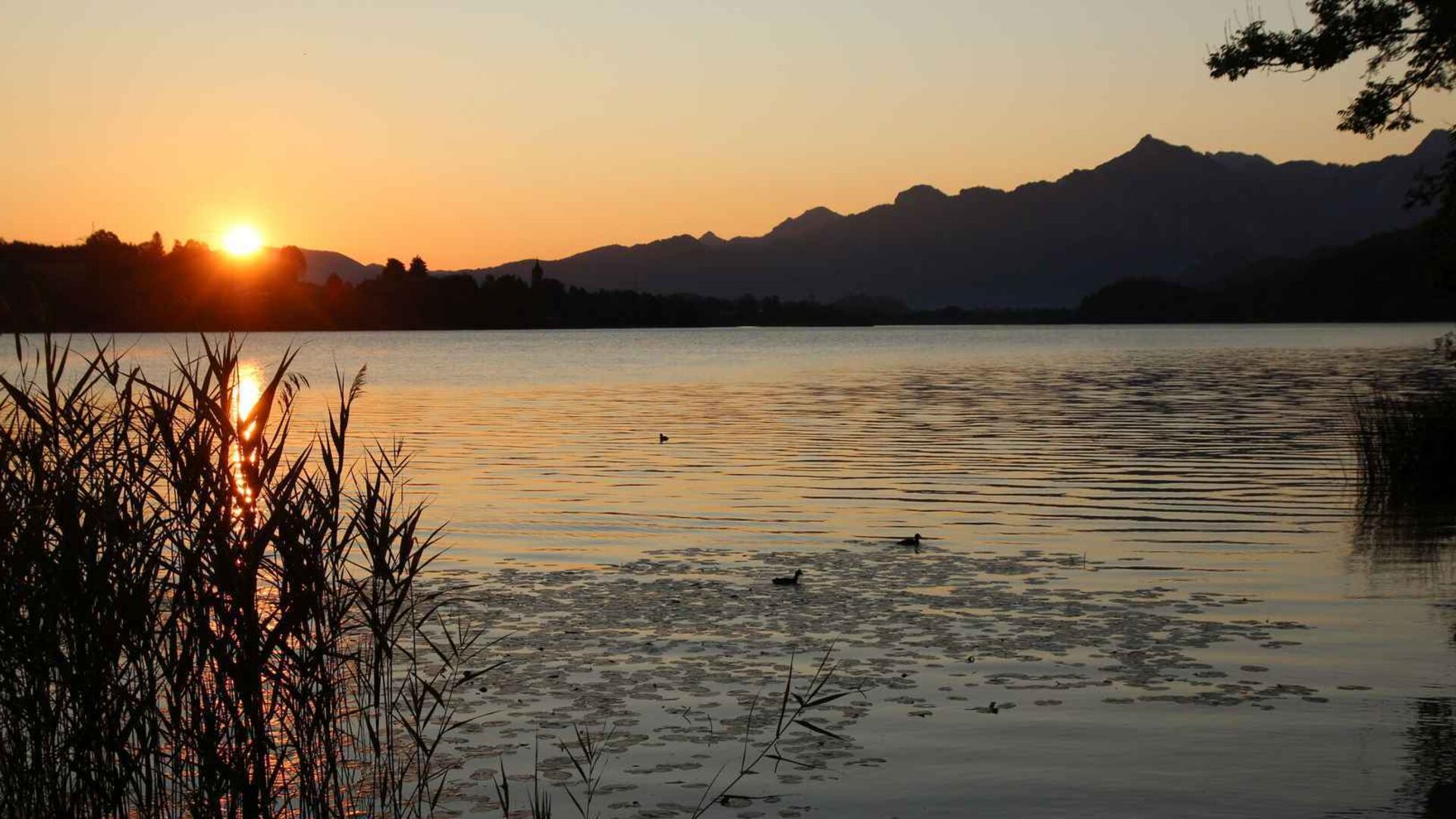 Impressionen Ferienwohnungen Moni in Füssen