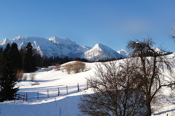 Erleben sie das Allgäu und Füssen