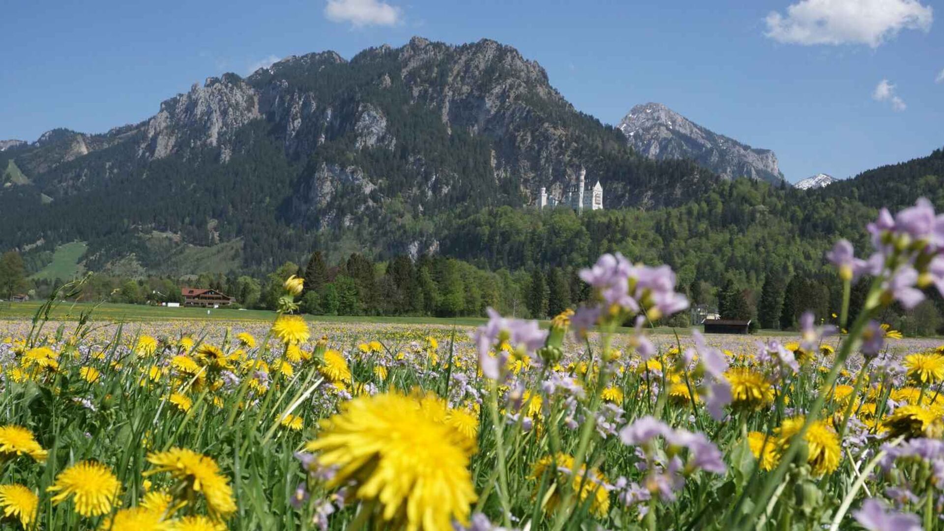 Impressionen Ferienwohnungen Moni in Füssen