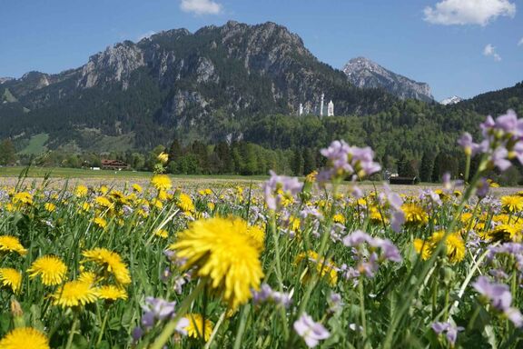 Impressionen Füssen