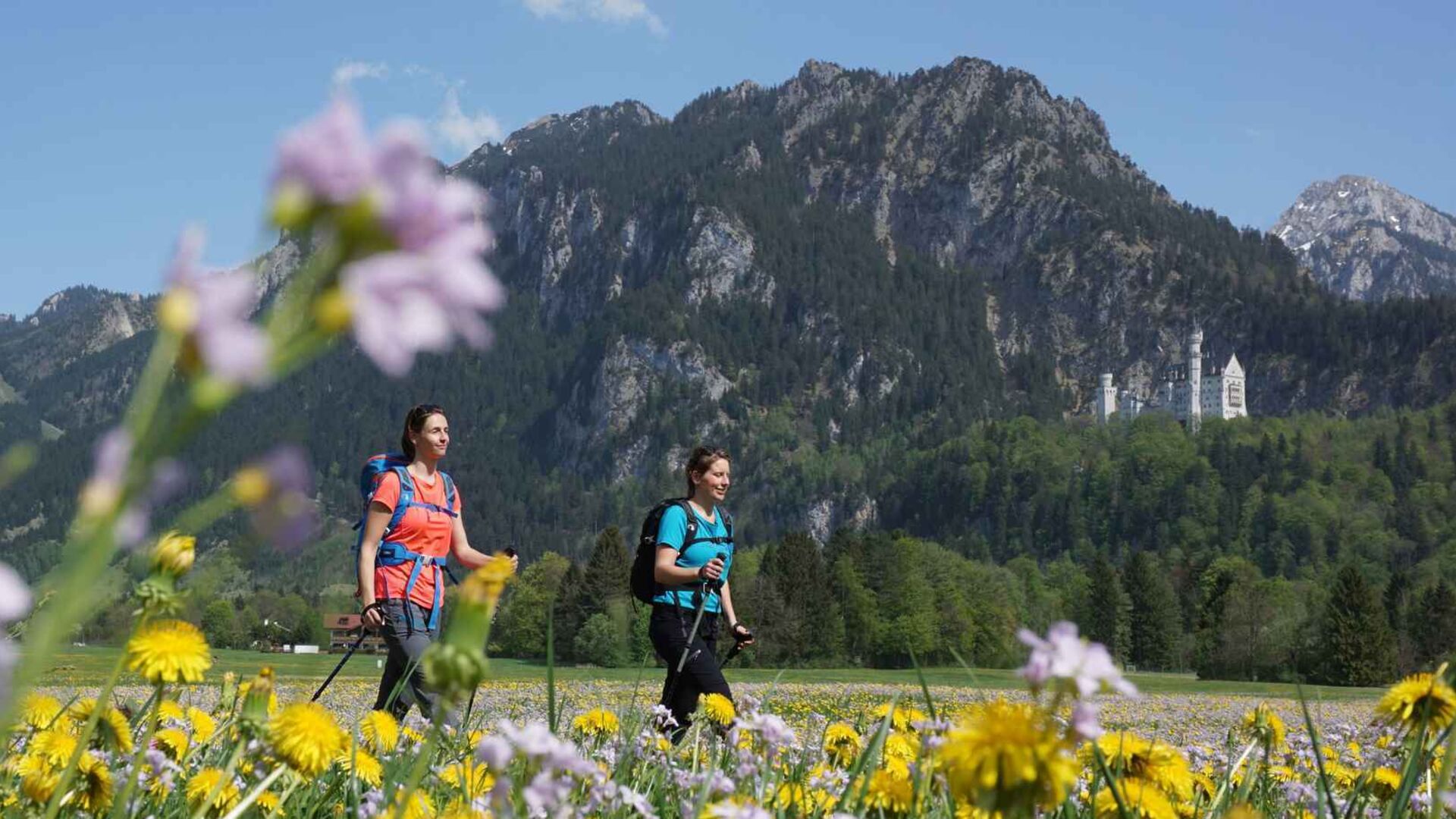 Impressionen Ferienwohnungen Moni in Füssen