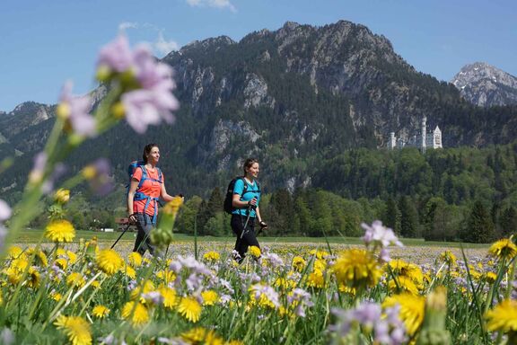 Impressionen Füssen