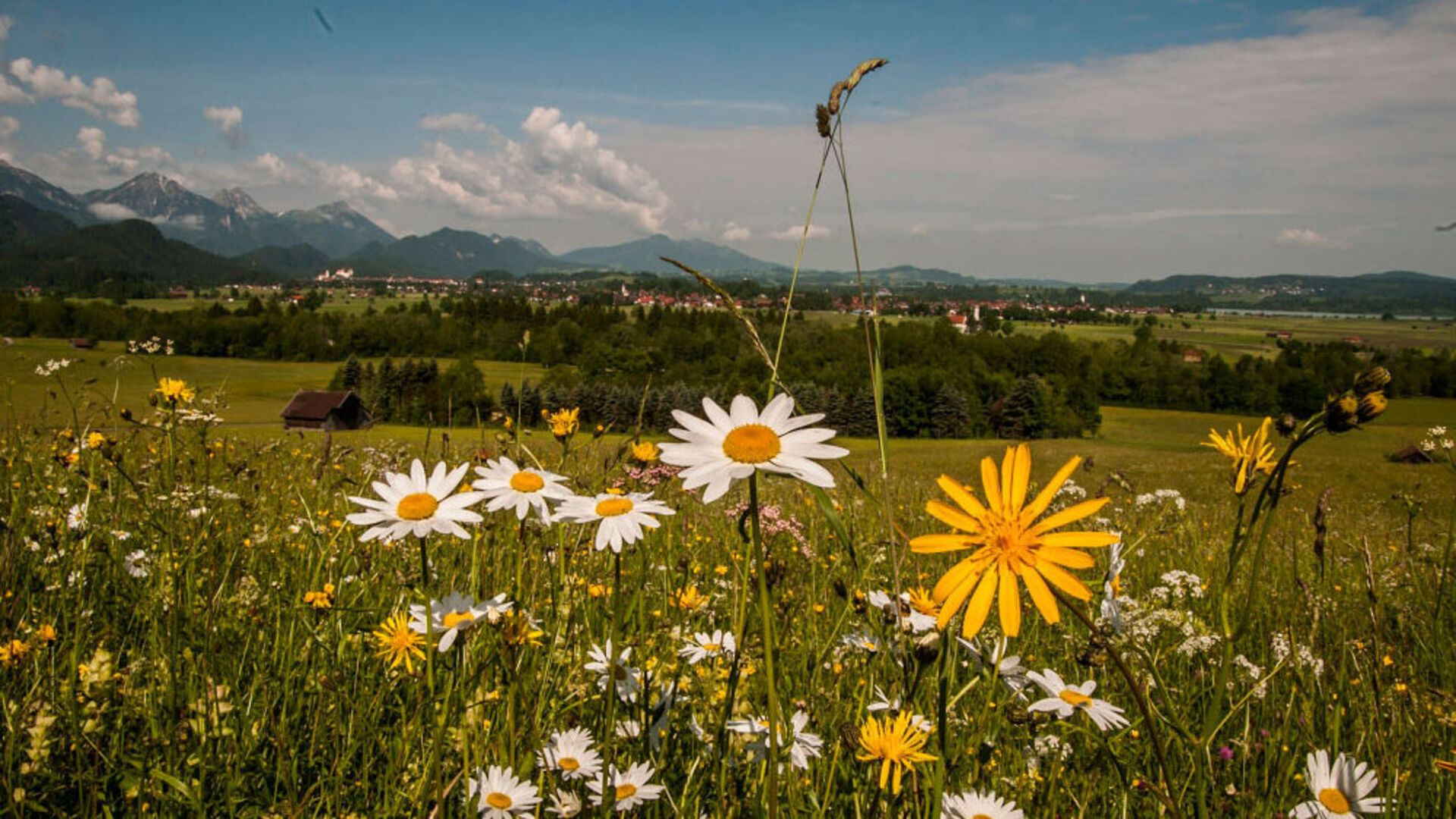 Impressionen Ferienwohnungen Moni in Füssen