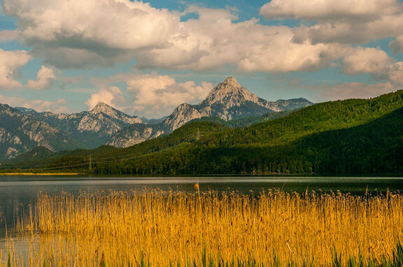 Erleben sie das Allgäu und Füssen