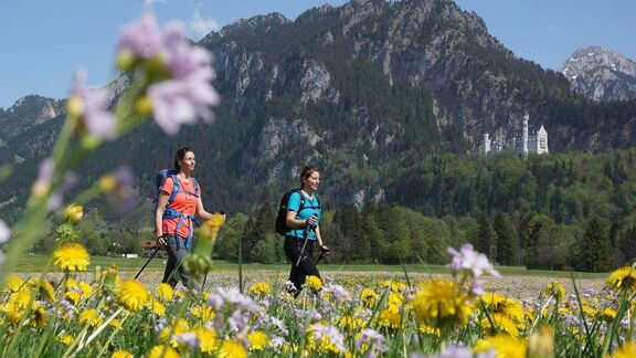 Impressionen Ferienwohnungen Moni in Füssen