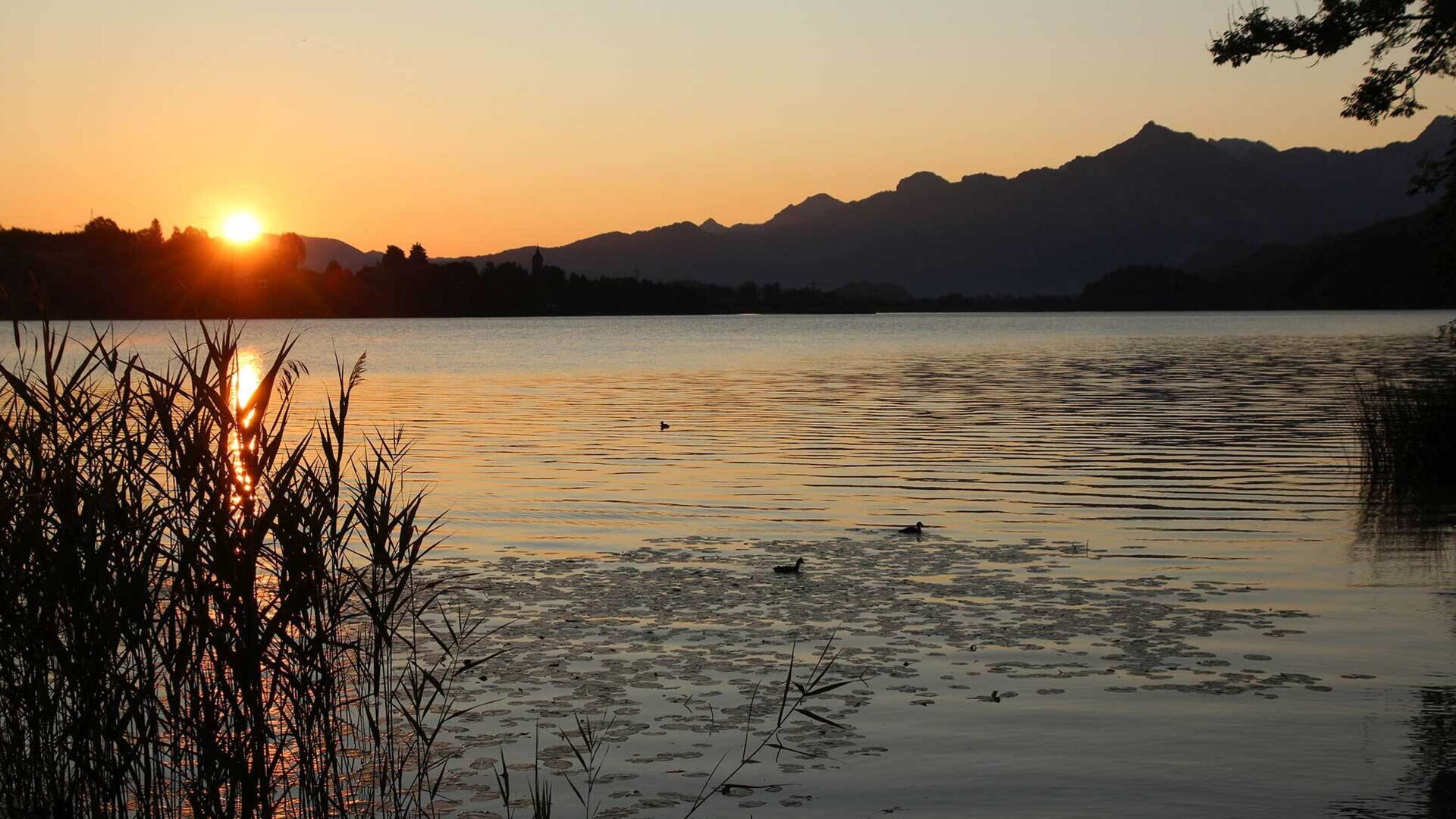 Impressionen Ferienwohnungen Moni in Füssen